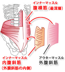 インナーマッスル